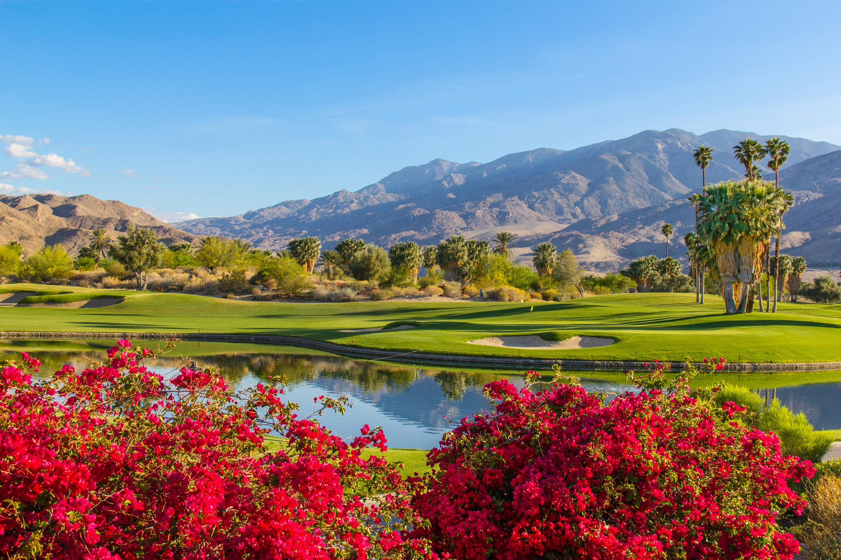Landscape photo of Palms Springs - Flowers and Greenery and mountain in the background.