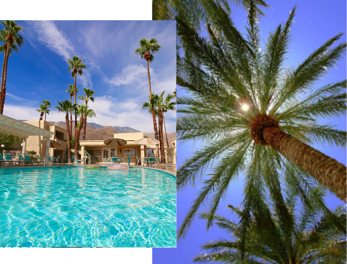 Photos of resort pool and palm trees.